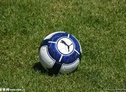 全运璀璨,湾区梦想交,融新篇章,美高梅(MGM)最新官方网站,美高梅,(1888-MGM认证),美高梅mgm1888,美高梅mgm最新登录入口