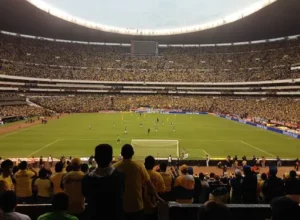 退役亦光辉,技艺纷呈,三无,美高梅(MGM)最新官方网站,美高梅,(1888-MGM认证),美高梅mgm1888,美高梅mgm最新登录入口