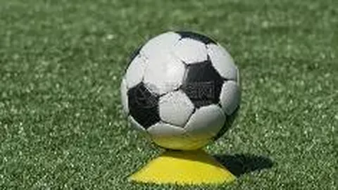 姚明透露CBA重启三套方案，信心满满迎接复赛