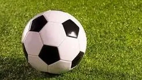 美高梅mgm最新登录入口 产品 095645 fel